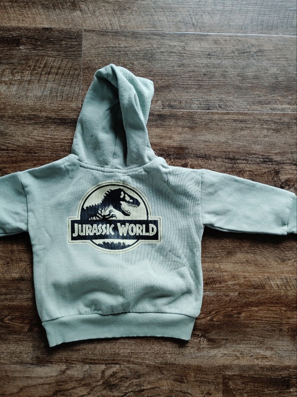 Jurassic World Kids Hoodie - Light Sage Green Hooded Sweatshirt